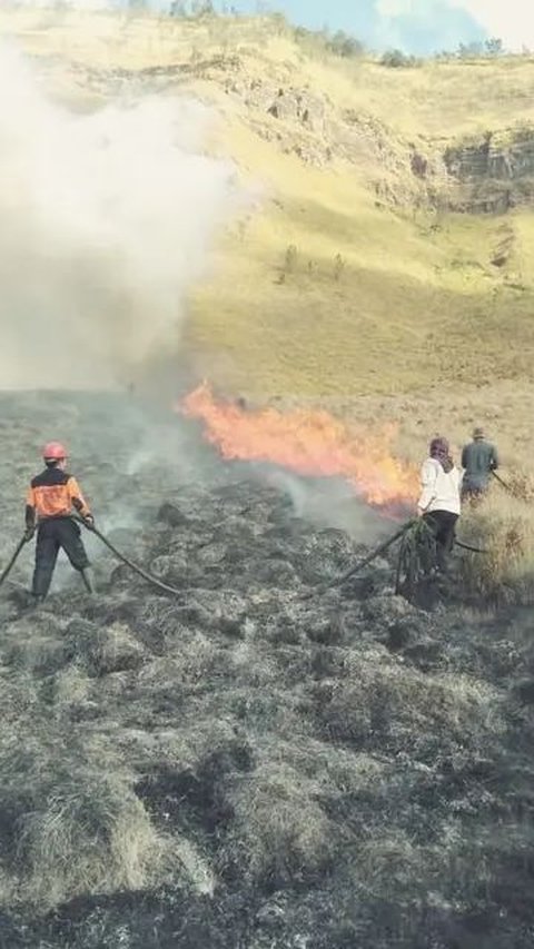 Fotografer Emosi Lihat Hasil Foto Prewed di Gunung Bromo yang Picu Kebakaran: Jelek Banget Kayak Gini