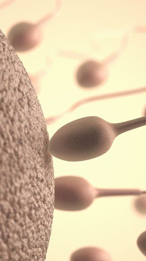 Ilmuwan Israel Berhasil Tumbuhkan Embrio Manusia Tanpa Sperma dan Sel Telur