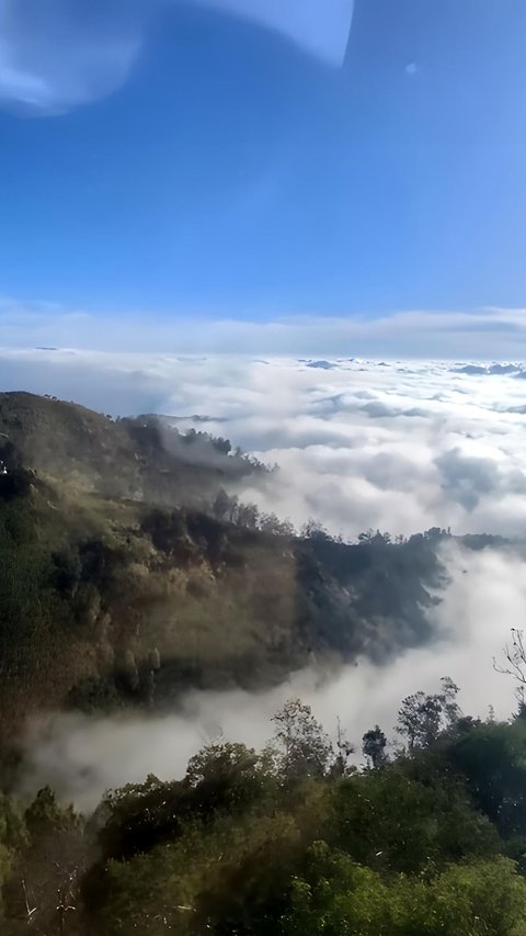 Viral Warung Kopi di Atas Awan, Pemandangan bak Kayangan di Cerita Dongeng
