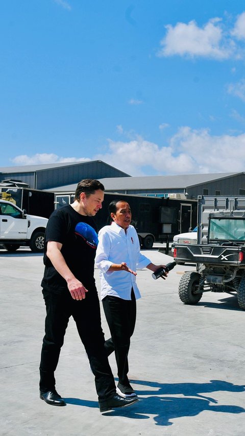 Bakal Bertemu Elon Musk di Amerika, Luhut Dorong Investasi Nikel