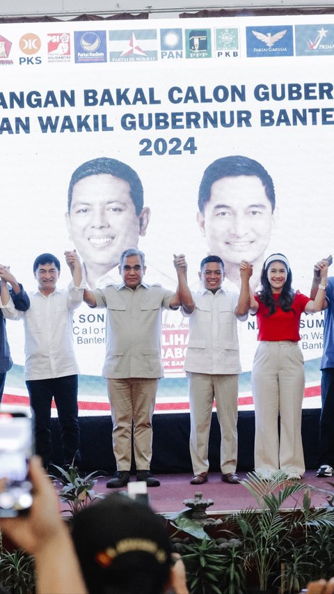 Andra-Dimyati Borong 10 Parpol di Pilkada Banten, Sisa PDIP dan Golkar