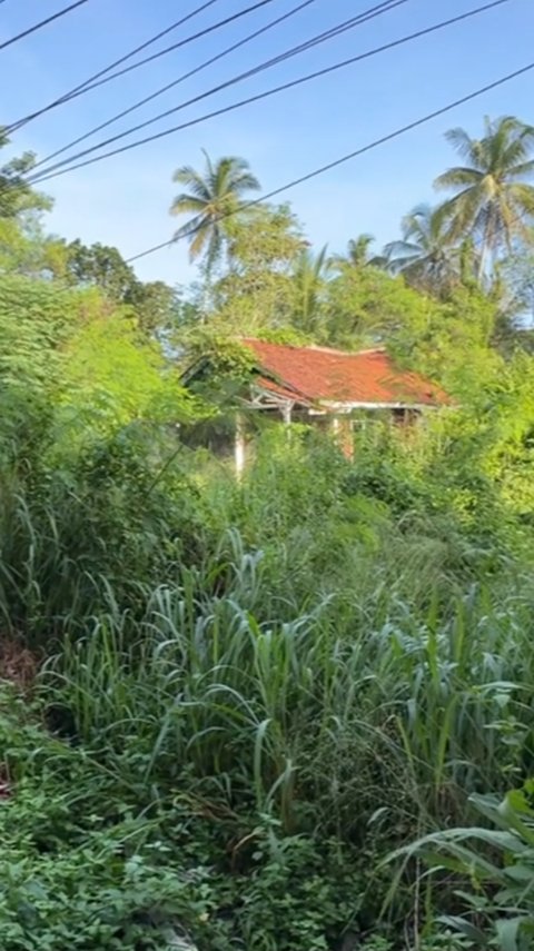 Pria Ini Temukan Rumah Terbengkalai di Tepi Jalan, Penampakannya Bikin Ngeri