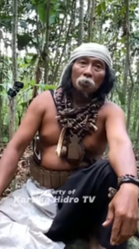 Tak Disangka, Suku Dayak Losarang Ini Miliki Sawah Hektaran Setiap Panen 7 Ton