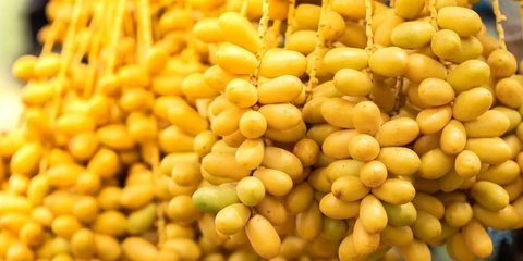 10 Manfaat Buah Kurma Muda, Tingkatkan Kesuburan Wanita