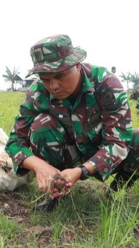 Berseragam Lengkap, Jenderal Bintang Satu Panen Bawang Merah