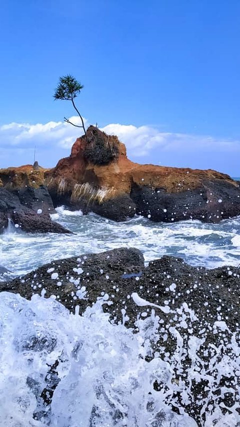 Bervakansi ke Pantai Padang Betuah Bengkulu, Sajikan Indahnya Alam Eksotis Mirip Tanah Lot Bali