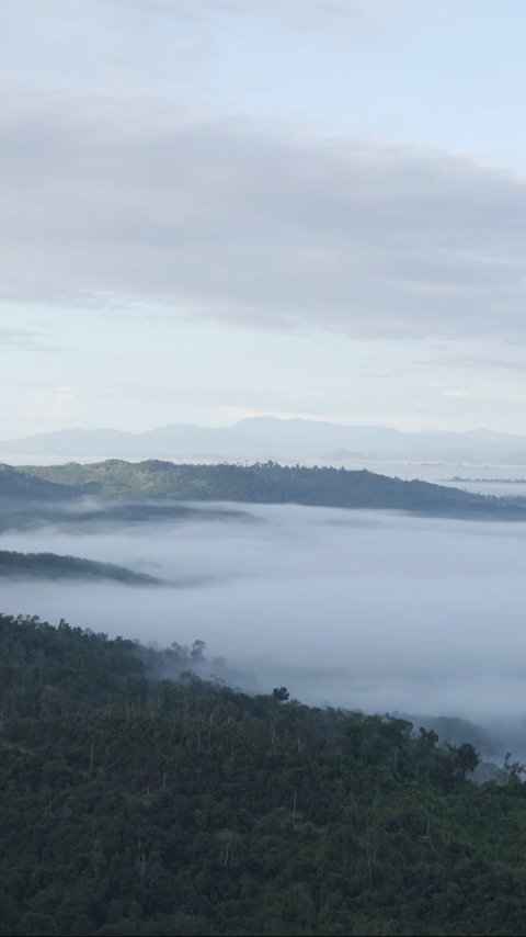 Menikmati Sensasi Gumpalan Awan di Gunung Embun, Pesona Hutan Mangrove Hingga Museum Sadurengas