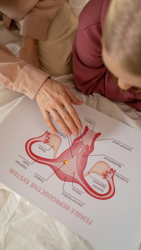 Bikin Vagina Tidak Sehat dan Mudah Keputihan, Ini 8 Hal yang Harus Dihindari