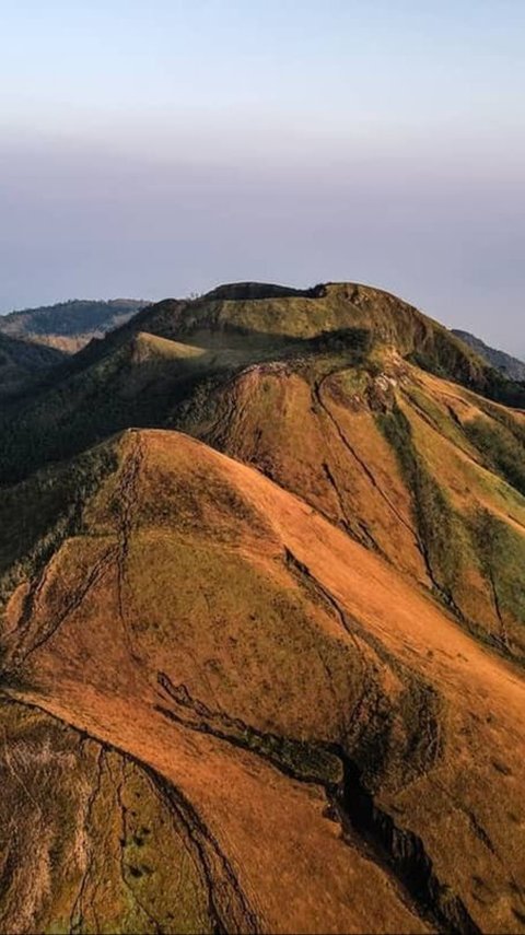 Pernah Jadi Ladang Ganja, Ini 5 Fakta Gunung Guntur di Kota Garut