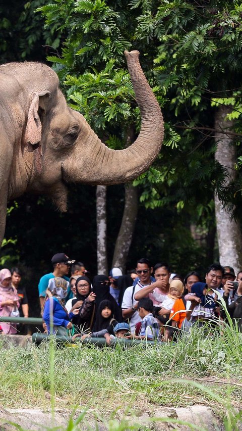 98.221 Pengunjung Padati Ragunan, 12 Anak Sempat Terpisah dari Orangtua