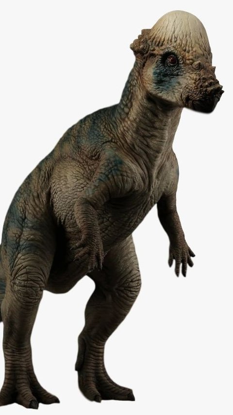 2 New Types of Dinosaurs Discovered, They Have Strange Shapes
