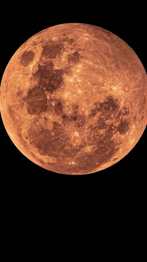 Setelah Mars, Kini Ilmuwan Sebut Venus Juga Bisa Dihuni Manusia