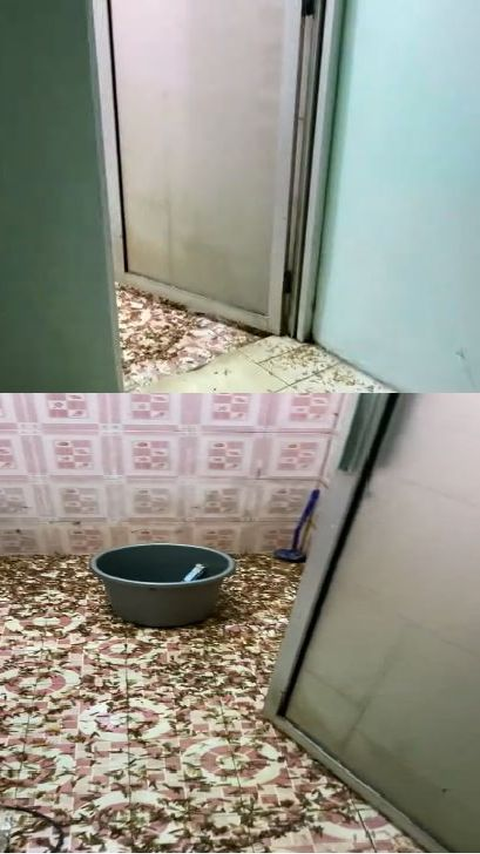 Viral Pria Ini Bagikan Momen Kamar Mandinya yang Diserbu Laron, Penampakannya Bikin Merinding