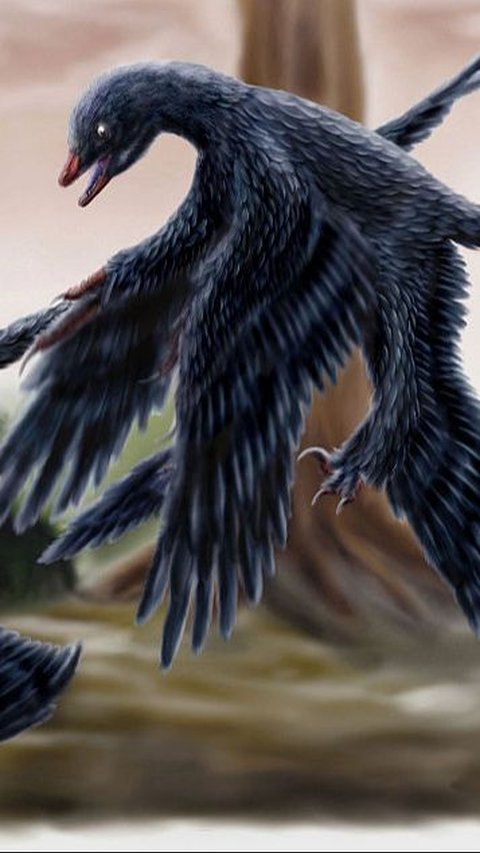 Fosil Kaki Microraptor Buktikan Perilakunya Mirip Elang saat Menangkap Mangsa