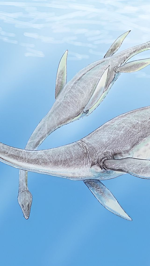 Spesies Baru Plesiosaurus Berhasil Diidentifikasi di Amerika Serikat