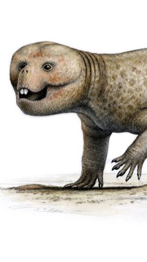 This Ancient Creature Went Extinct Because of Its Own Actions, Its Teeth Were Worn Down to the Point of Being Unable to Chew