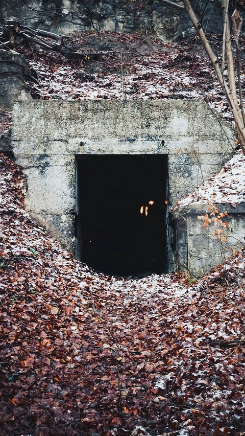 Bunker Mewah Bos Facebook Ada Kolam Renang dan Landasan Helikopter, Diklaim Jadi Tempat Sembunyi Paling Aman