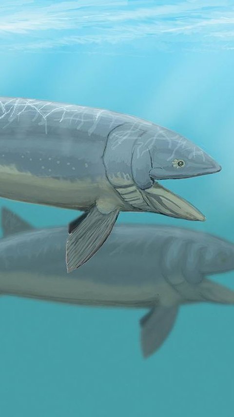 Heboh Penemuan Spesies Baru Ikan Purba dari Hasil Fosil Tengkorak Jutaan Tahun Lalu