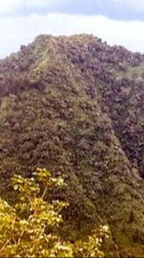 Sisi Menarik Bukit Turgo Pakem, Wisata Alam di Sleman yang Sarat Nilai Sejarah dan Pengetahuan