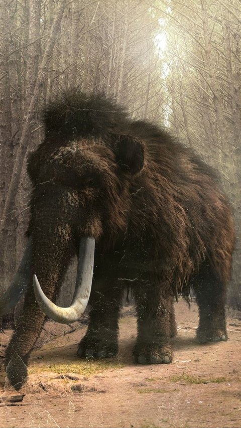 Ilmuwan Ungkap Mammoth Lakukan Perjalanan 965 Km Lintasi Amerika Utara