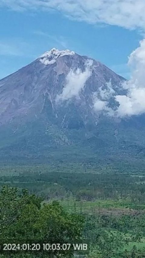 Gunung Semeru Dua Kali Erupsi Dalam Sehari, Semburan Abu Vulkanik Capai 800 Meter