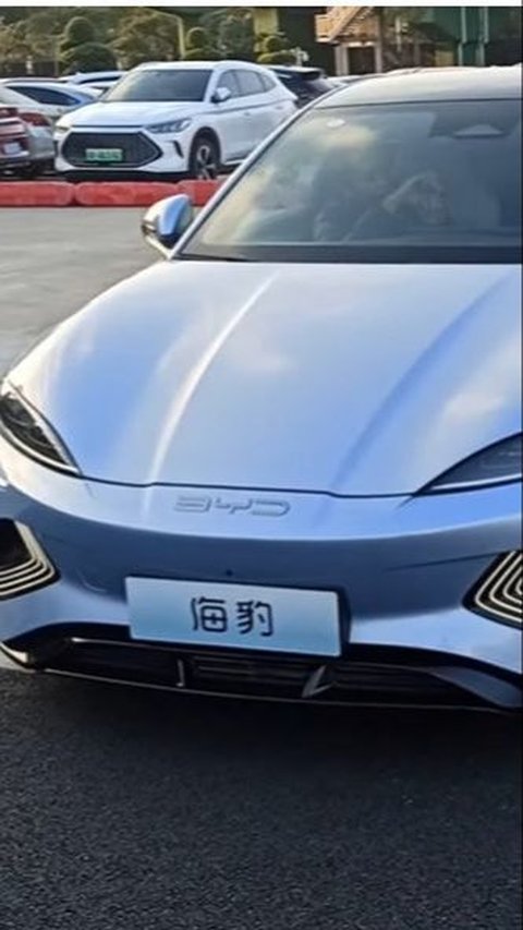 BYD Kalahkan Tesla di Pasar Mobil Listrik Dunia