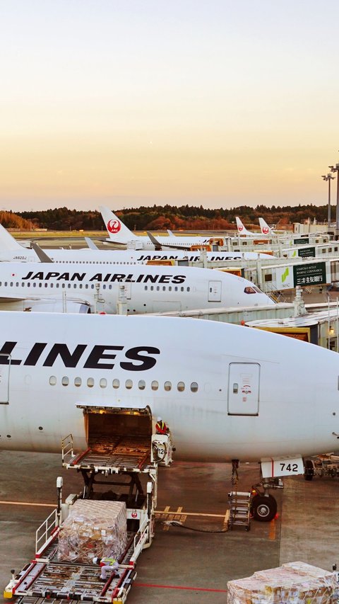 Segini Harga Pesawat Japan Airlines yang Terbakar di Bandara Haneda, Tokyo