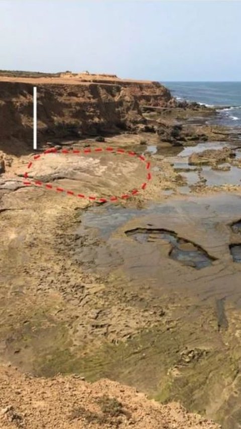 85 Jejak Kaki Makhluk Berusia 90.000 Tahun Ditemukan di Pantai, Ternyata Milik Spesies Manusia Ini