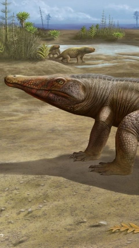 Giant Amphibian Discovery in the Triassic Era Begins to be Unearthed in Brazil