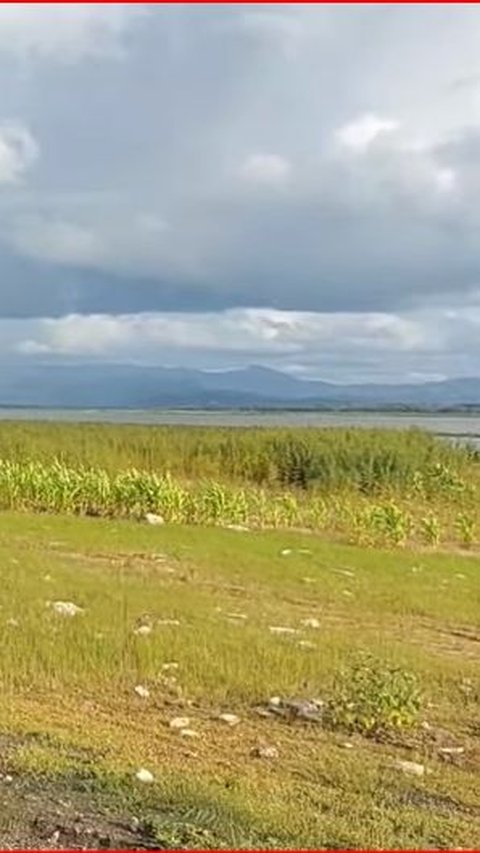 Menilik Desa Sekar Gumiwang yang Berada di Tengah Waduk Gajah Mungkur, Sempat Muncul saat Musim Kemarau