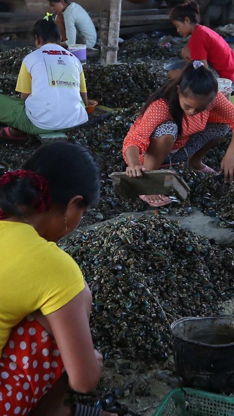 Limbah Kulit Kerang Ternyata Bisa ‘Disulap’ Jadi Paving Block & Closet Jongkok, Begini Caranya