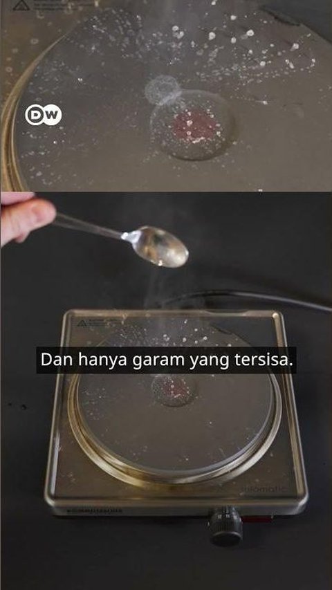 VIDEO: Tips Menyuling Air Laut yang Asin hingga Bisa Diminum, Begini Cara Mudahnya!