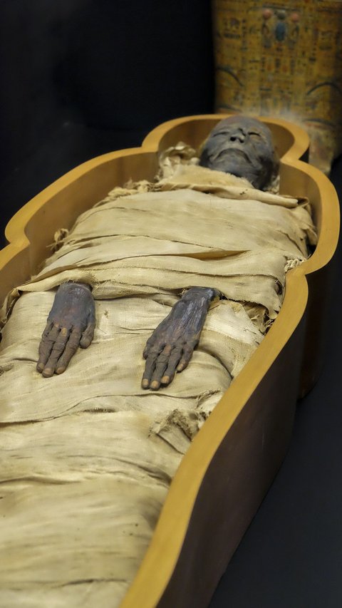 Ancient Egyptian Teenage Mummy Found, Died While Carrying Twin Babies