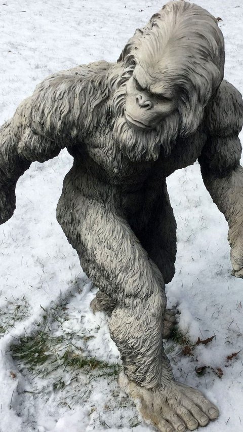 The Discovery of Yeti Hair, the Snow Creature in the Himalayas Turns Out to Come from a Horse