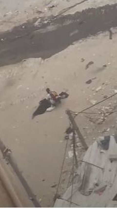 Detik-detik Sniper Israel Sengaja Tembak Mati Wanita Bawa Anak di Gaza Meski Sudah Kibarkan Bendera Putih, Sungguh Biadab!