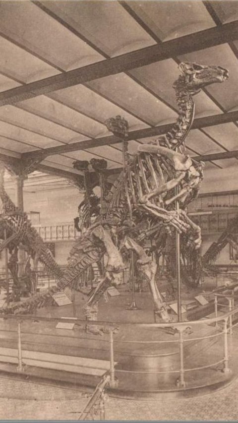 Inilah Sosok Penemu Fosil Dinosaurus Pertama Kali, 500 Tahun Sebelum Ilmuwan Inggris
