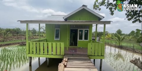 Baru Dua Bulan di Tanah Transmigrasi, Potret Rumah dan Sawah Milik Petani Ini Bikin Salfok