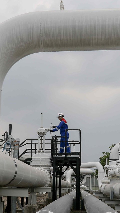 Ada Program Magang Langsung di 5 Fuel Pertamina Patra Niaga, Buka Peluang Putra Daerah Bangun Indonesia Timur