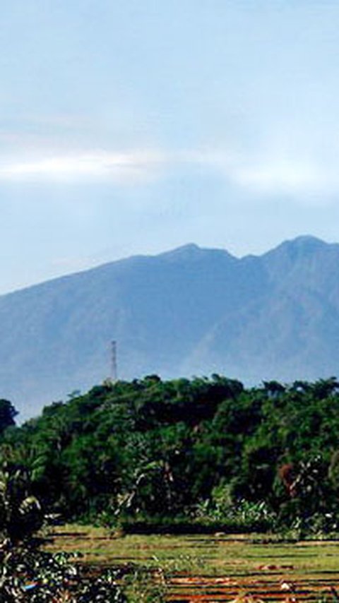 Daya Tarik Gunung Halimun, Tempat Favorit Raja Prabu Siliwangi yang Menyimpan Keindahan Mirip Surga Dunia