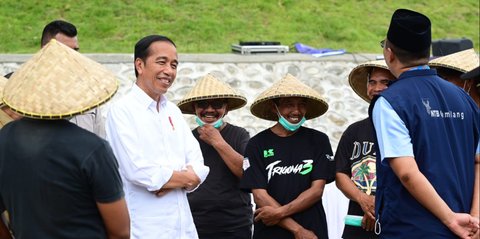 Cerita Jokowi Pelihara Kambing di Istana Bogor, Awal 5 Kini jadi 43 Ekor Jelang Pensiun