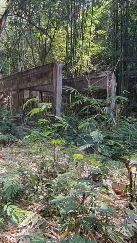 Melihat Sisa Kejayaan Kereta Api Garut Abad ke-19, Ada Stasiun di Tengah Hutan