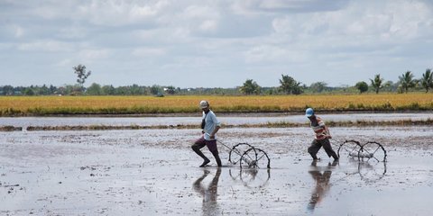 Warga Kampung Kaliki Merauke Bersyukur Harapan Miliki Sawah Sendiri Diwujudkan Pemerintah