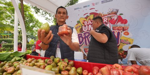 Kisah Pengusaha Jambu Citra di Kudus, Sukses Kembangkan Usaha Berkat Pemberdayaan BRI