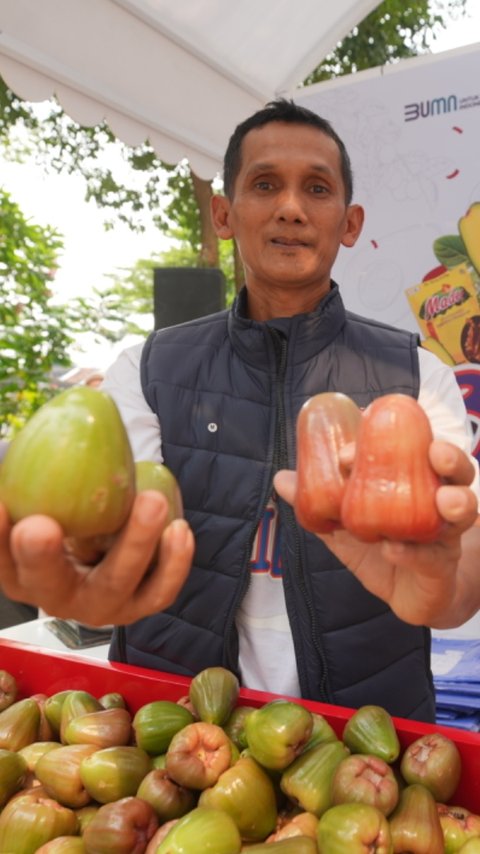 Kisah Pengusaha Jambu Citra di Kudus, Sukses Kembangkan Usaha Berkat Pemberdayaan BRI