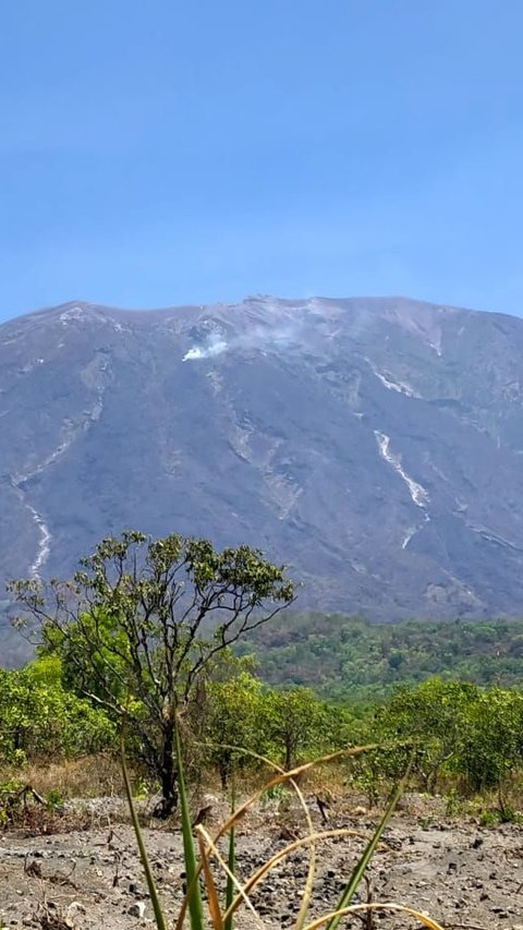 Area Terbakar Capai 100 Ha, Apa Kendala Pemadaman Kobaran Api di Lereng Gunung Agung