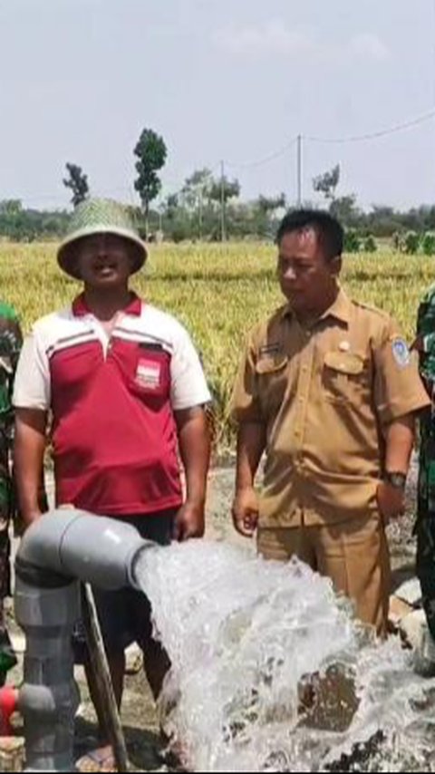 Irpom Dorong Petani Nganjuk Percepat Tanam Hingga Tiga Kali Setahun