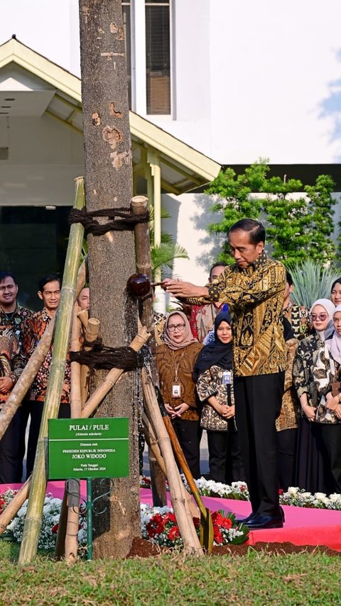 Istana Siapkan Alphard 'AD 1 JKW' Antar Jokowi Pulang Kampung ke Solo Usai Purna Tugas