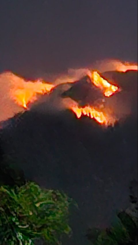 Kebakaran Gunung Agung Meluas Capai 145 Hektar, BPBD Rancang Hujan Buatan