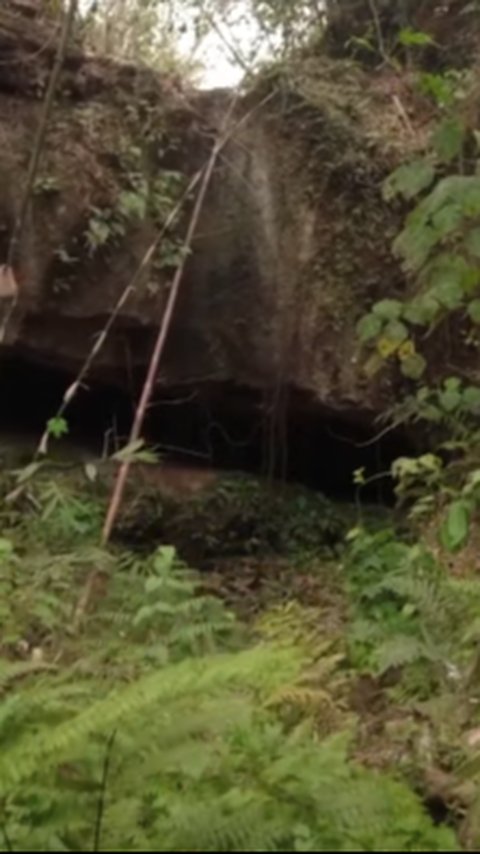 Belum Ada yang Tahu, Begini Suasana Kuburan Massal PKI di Tengah Hutan Jati