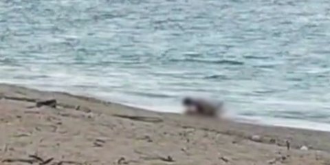 Viral Video Dua WNA Diduga Mesum di Pantai Mandalika